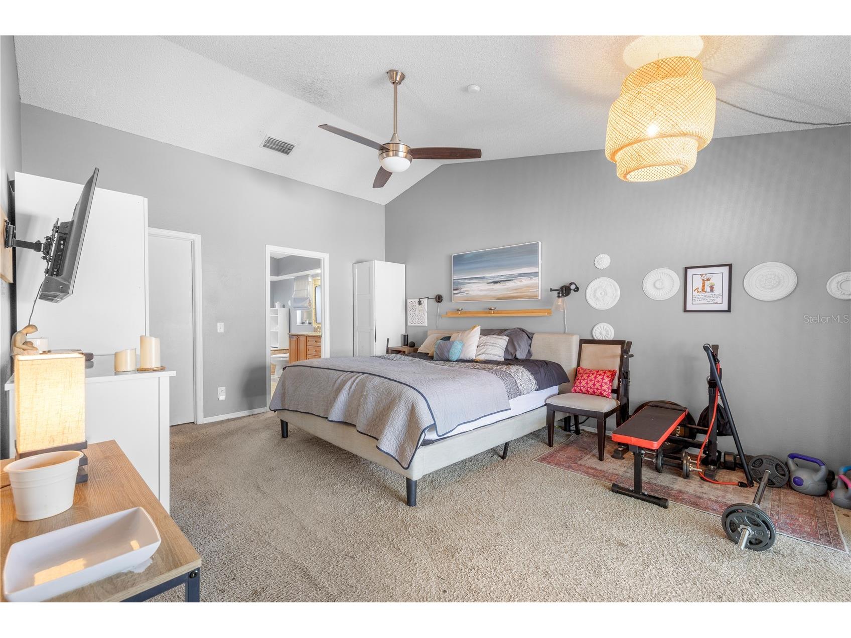 2917 Starmount Drive Valrico FL 33596 TB8461749 image40