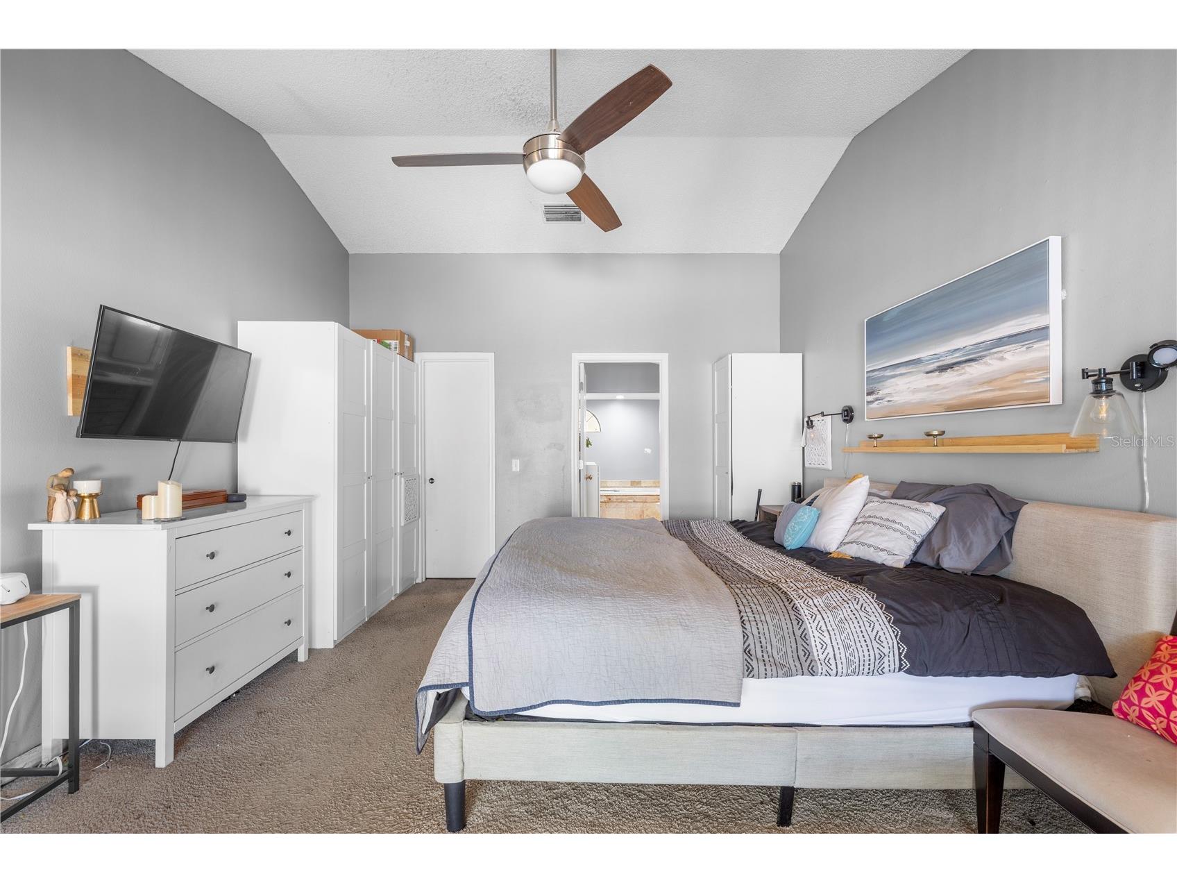 2917 Starmount Drive Valrico FL 33596 TB8461749 image41