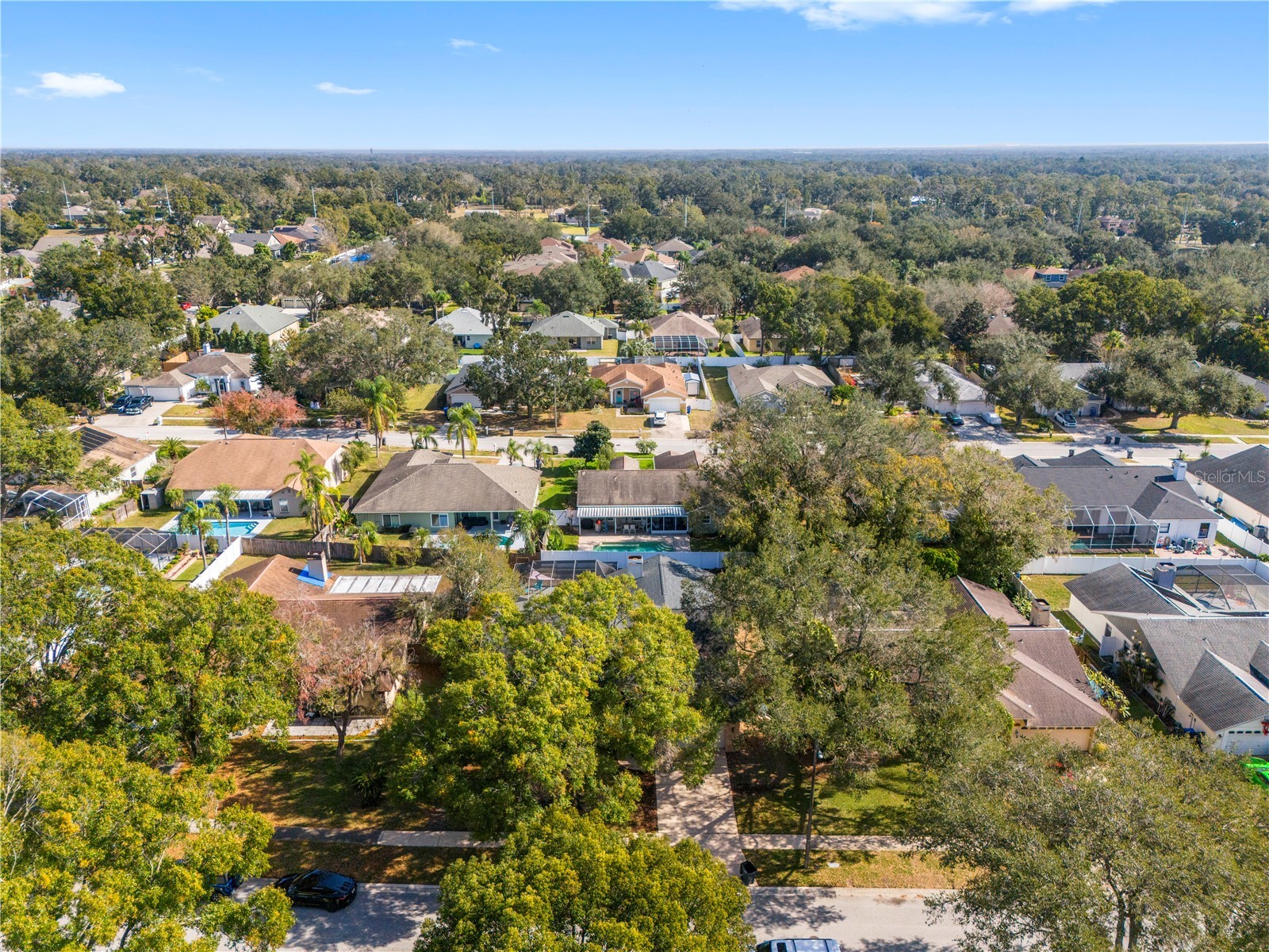 2917 Starmount Drive Valrico FL 33596 TB8461749 image52