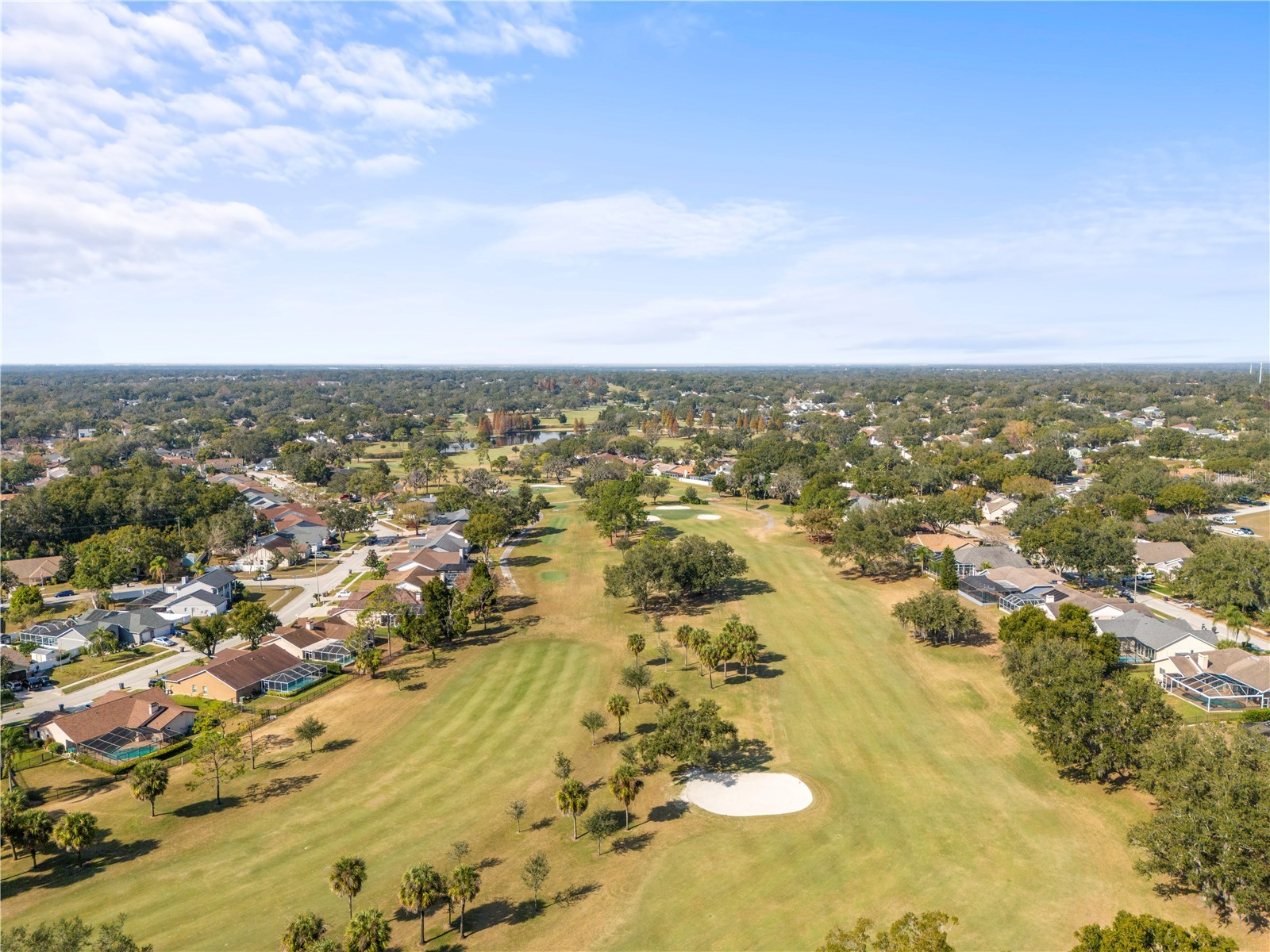 2917 Starmount Drive Valrico FL 33596 TB8461749 image59