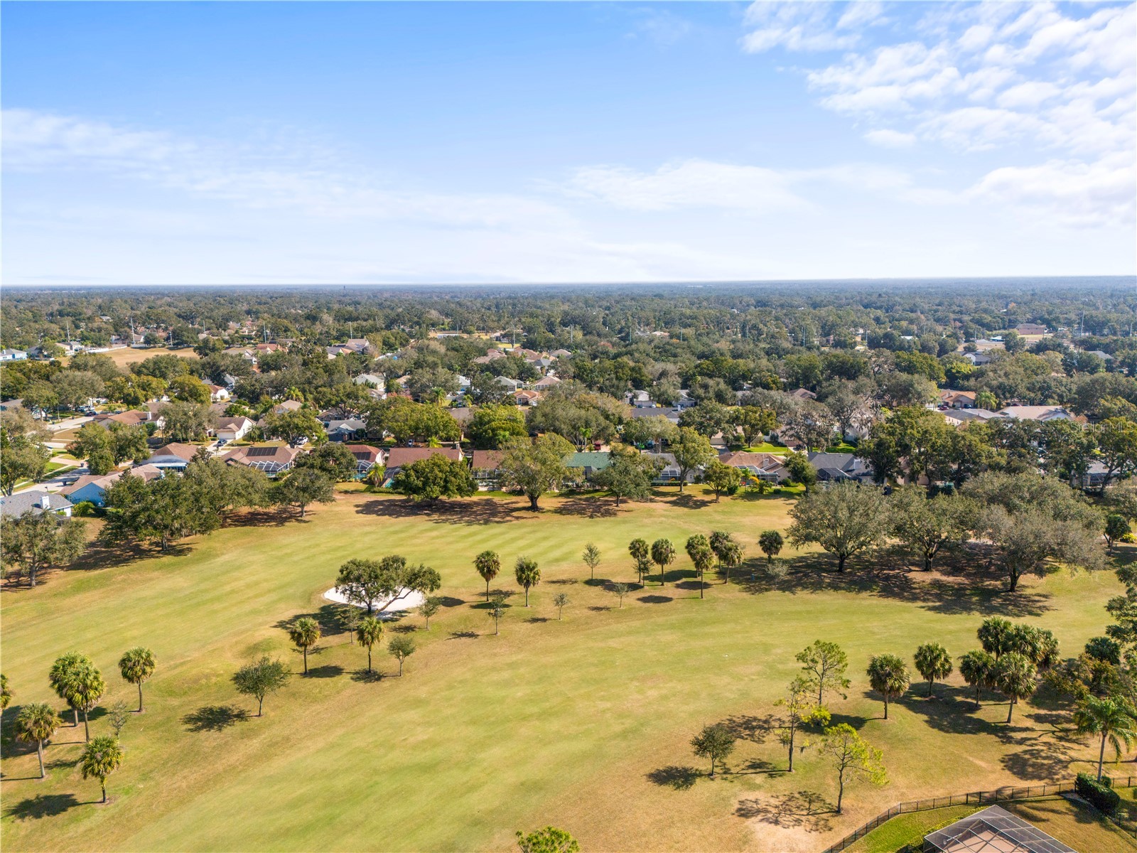 2917 Starmount Drive Valrico FL 33596 TB8461749 image60