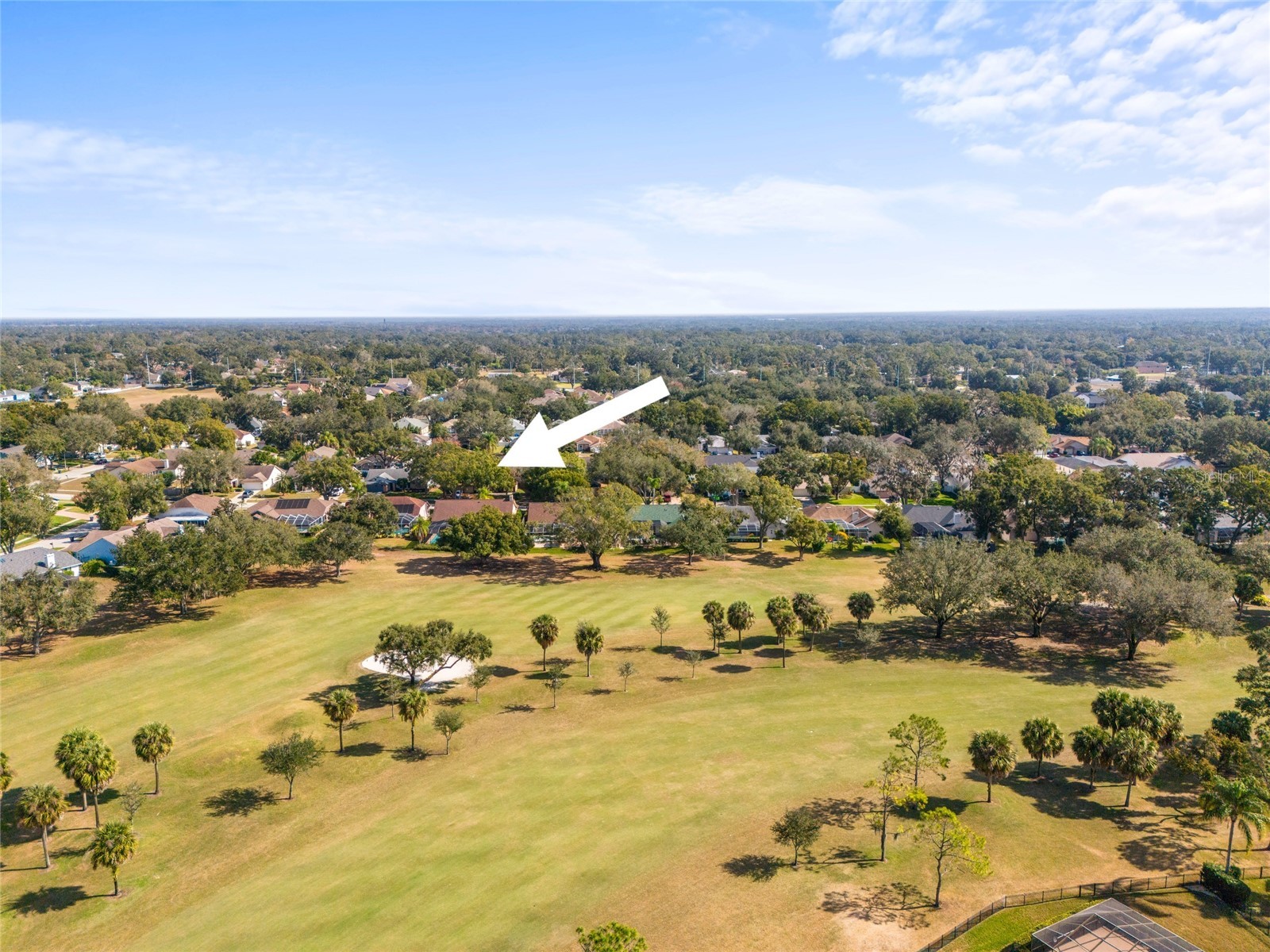 2917 Starmount Drive Valrico FL 33596 TB8461749 image62