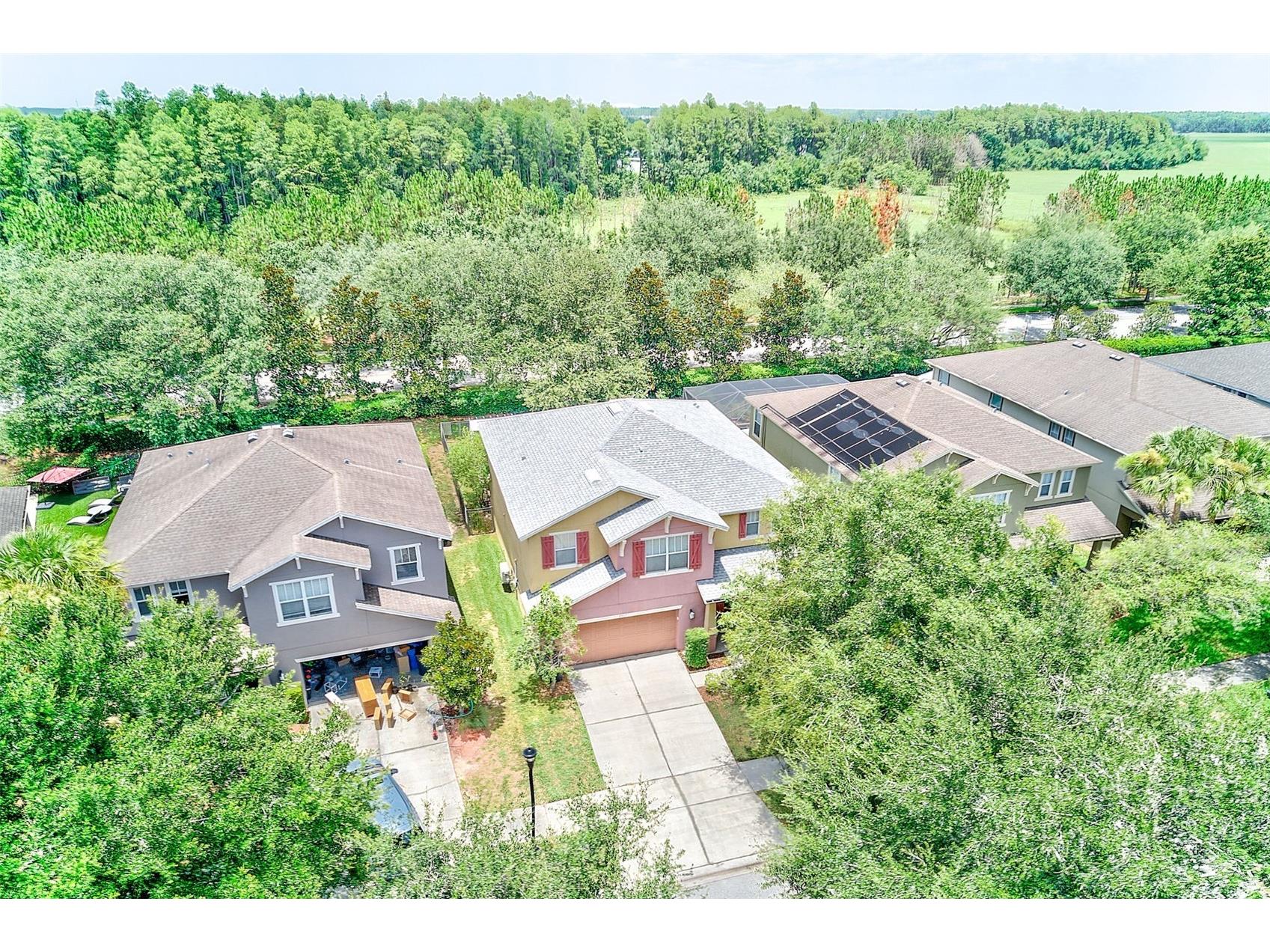 2917 Winglewood Circle Lutz FL 33558 TB8527338 image41