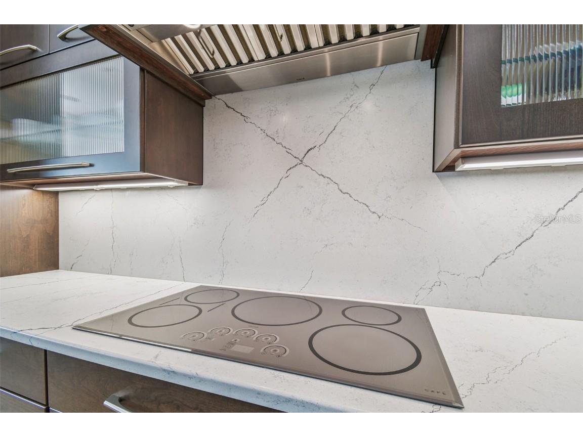 29171 Ginnetto Drive Wesley Chapel FL 33543 TB8416638 image11