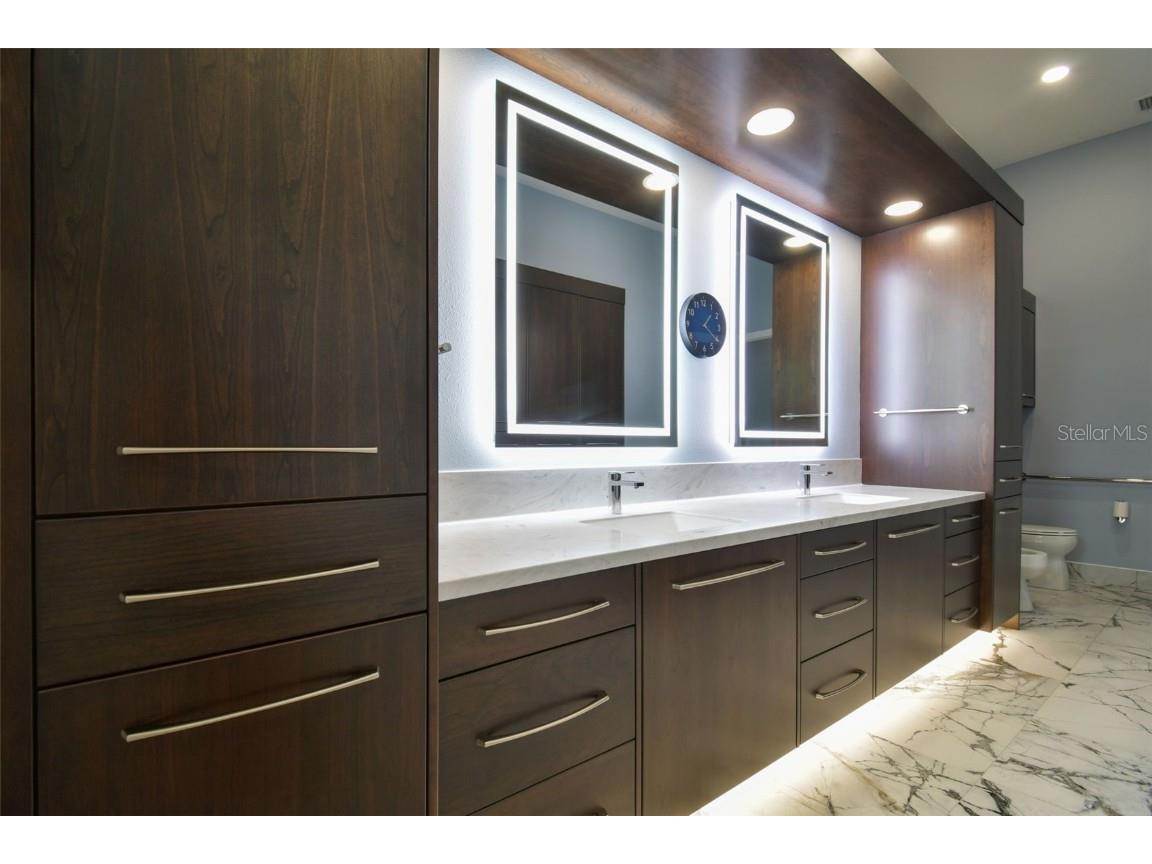 29171 Ginnetto Drive Wesley Chapel FL 33543 TB8416638 image18