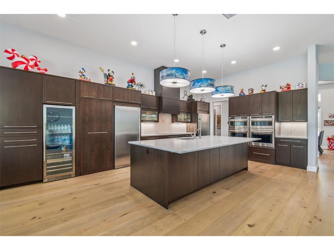 29171 Ginnetto Drive Wesley Chapel FL 33543 TB8416638 image2