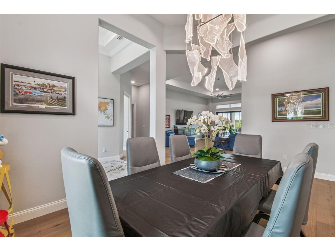 29171 Ginnetto Drive Wesley Chapel FL 33543 TB8416638 image27