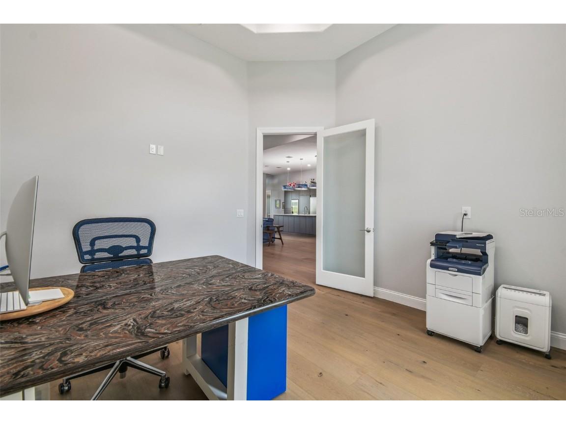 29171 Ginnetto Drive Wesley Chapel FL 33543 TB8416638 image35