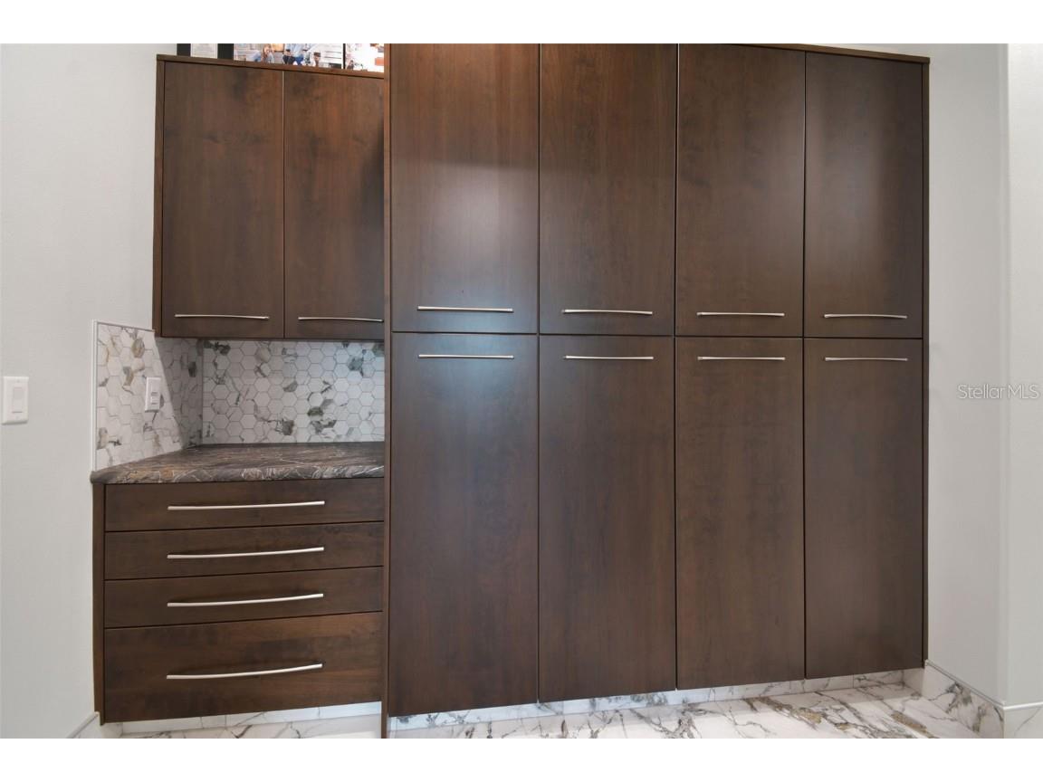 29171 Ginnetto Drive Wesley Chapel FL 33543 TB8416638 image36