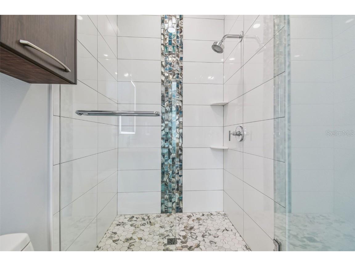 29171 Ginnetto Drive Wesley Chapel FL 33543 TB8416638 image52