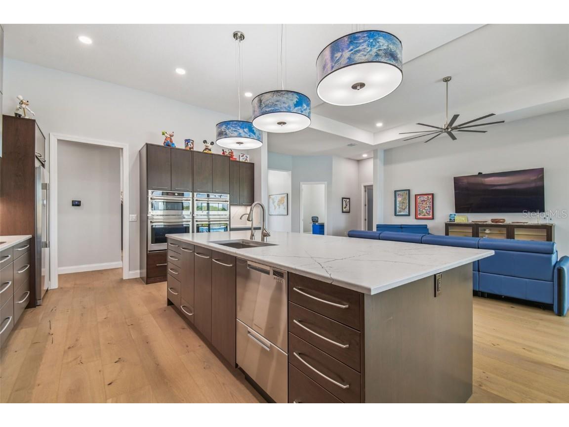 29171 Ginnetto Drive Wesley Chapel FL 33543 TB8416638 image9