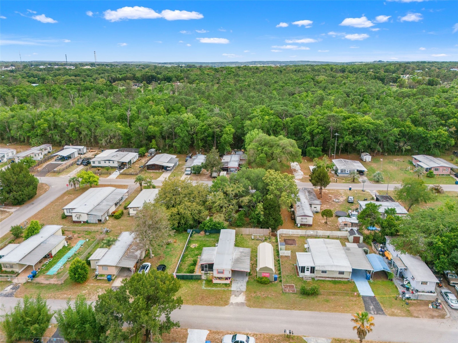 29176 Heckleman Street Brooksville FL 34602 TB8495059 image3