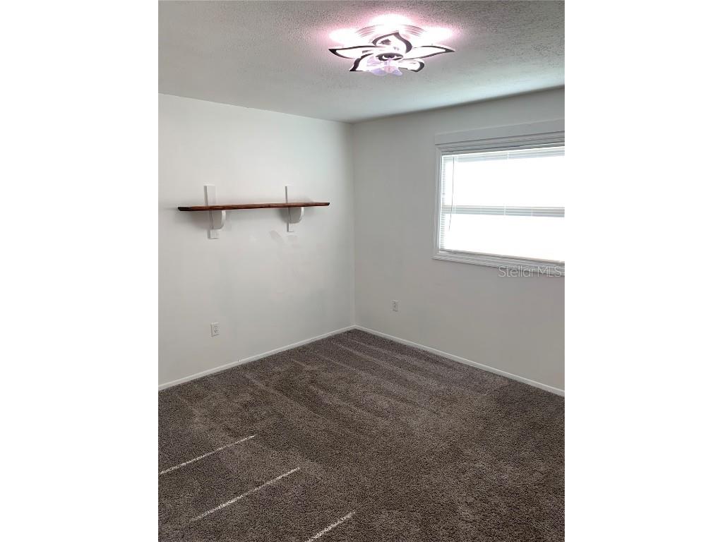 2918 Long Rifle Drive Wimauma FL 33598 A4672200 image5