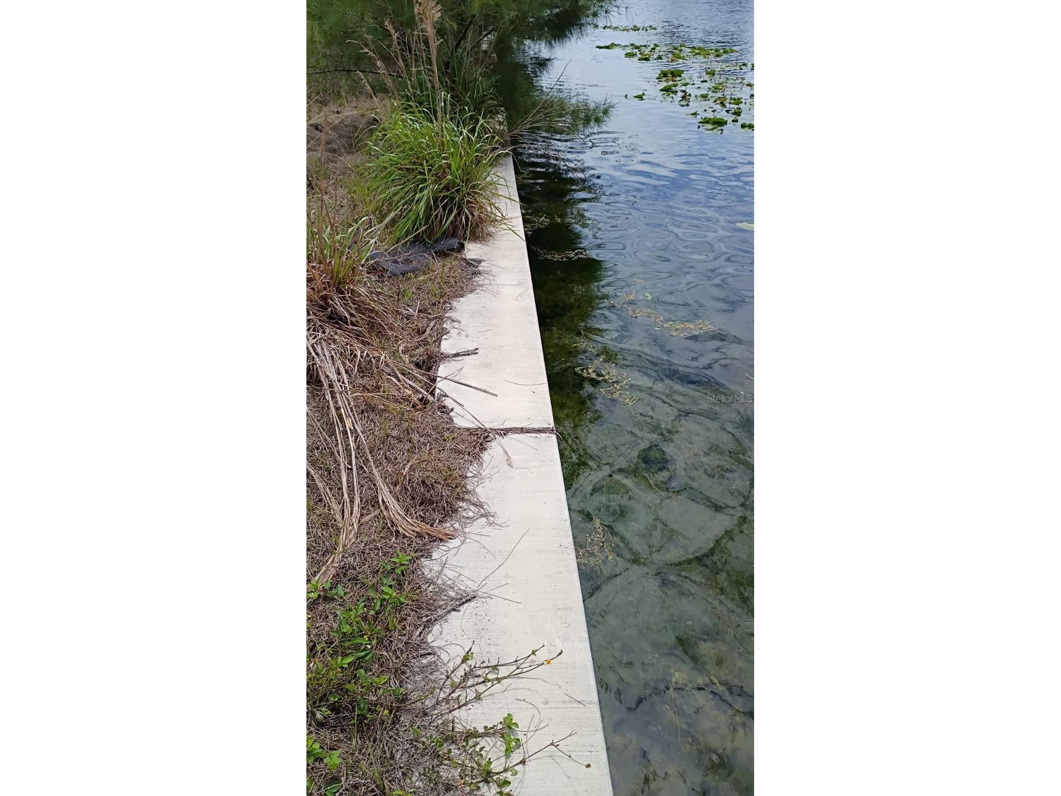 2918 NW 14th Terrace Cape Coral FL 33993 S5151175 image3