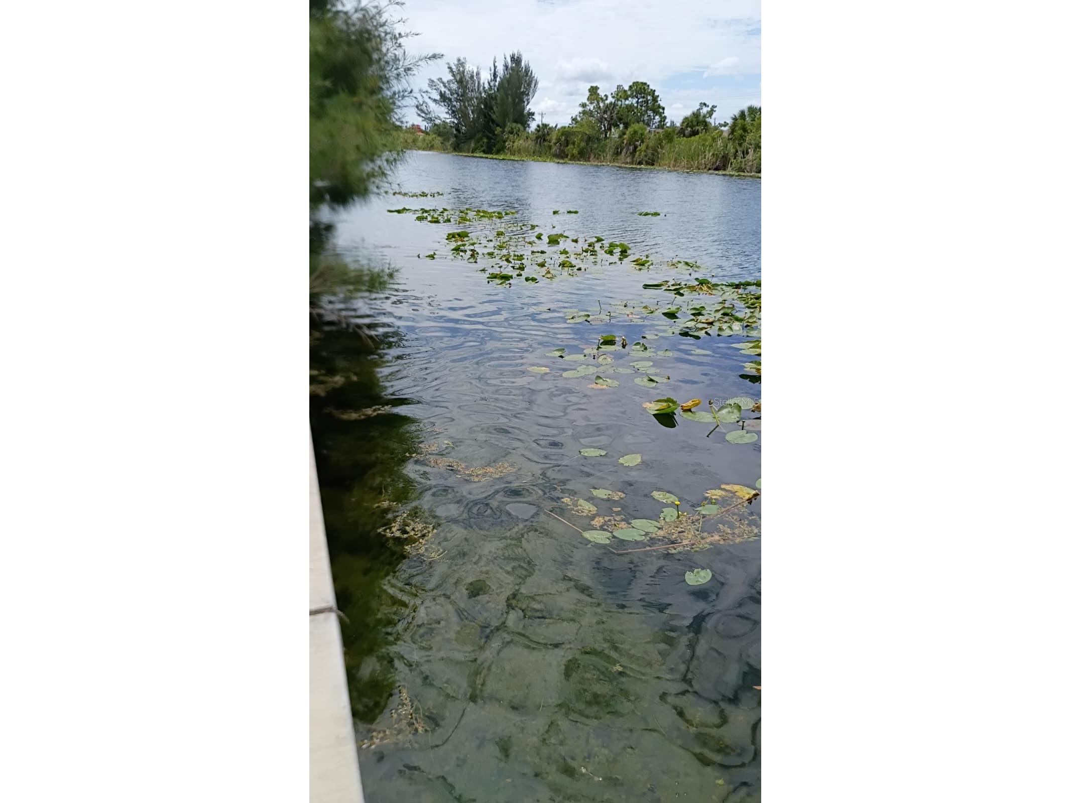 2918 NW 14th Terrace Cape Coral FL 33993 S5151175 image4