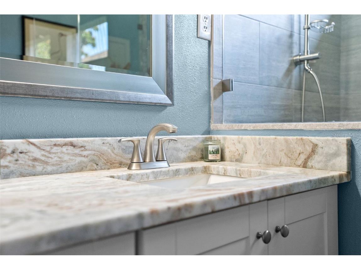 2918 Winglewood Circle Lutz FL 33558 TB8454452 image30