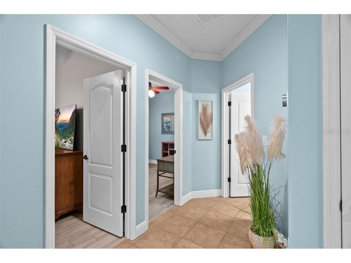 2918 Winglewood Circle Lutz FL 33558 TB8454452 image35