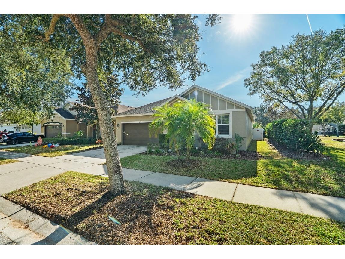2918 Winglewood Circle Lutz FL 33558 TB8454452 image47