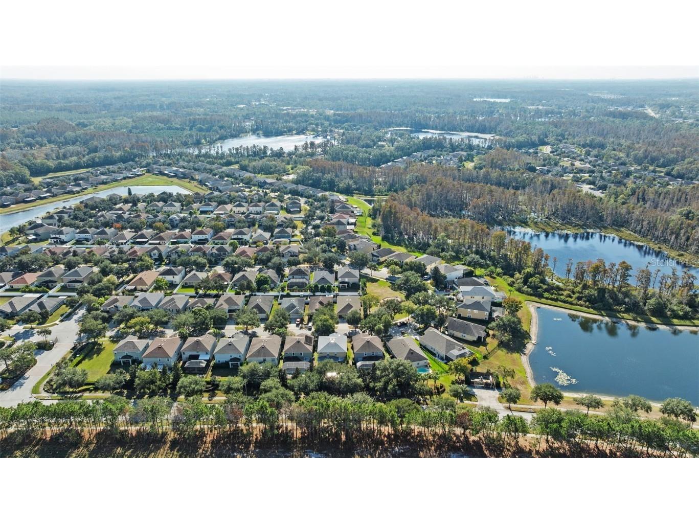 2918 Winglewood Circle Lutz FL 33558 TB8454452 image50