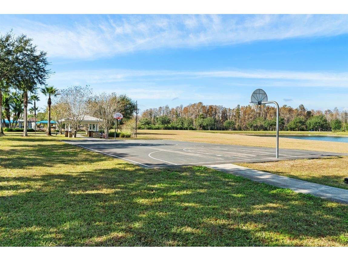 2918 Winglewood Circle Lutz FL 33558 TB8454452 image60