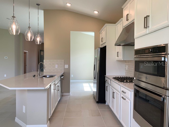 2919 Crest Wave Drive Clermont FL 34711 S5150341 image14