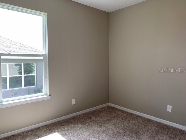 2919 Crest Wave Drive Clermont FL 34711 S5150341 image7