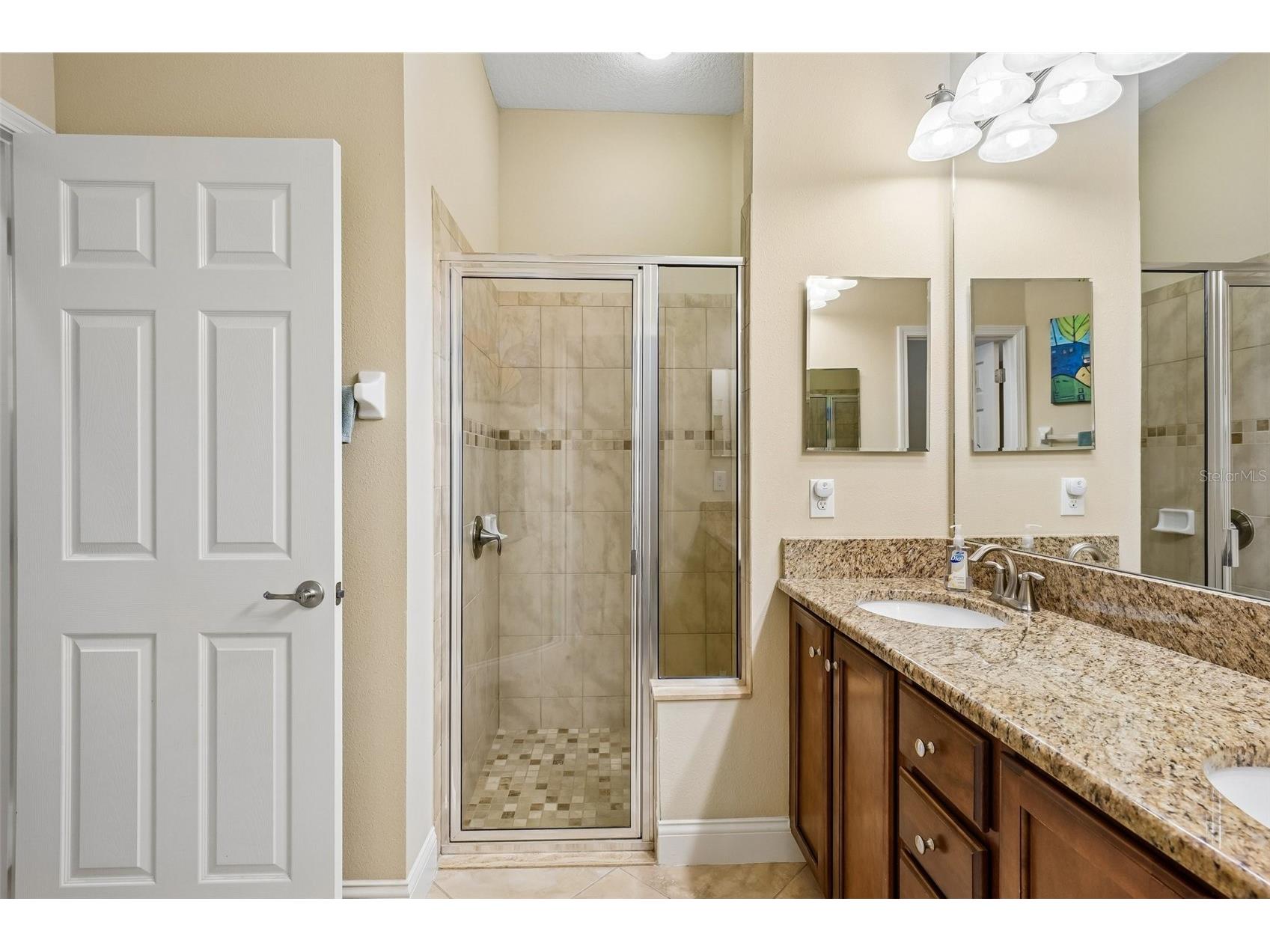 2919 Devonoak Boulevard Land O Lakes FL 34638 TB8512376 image19