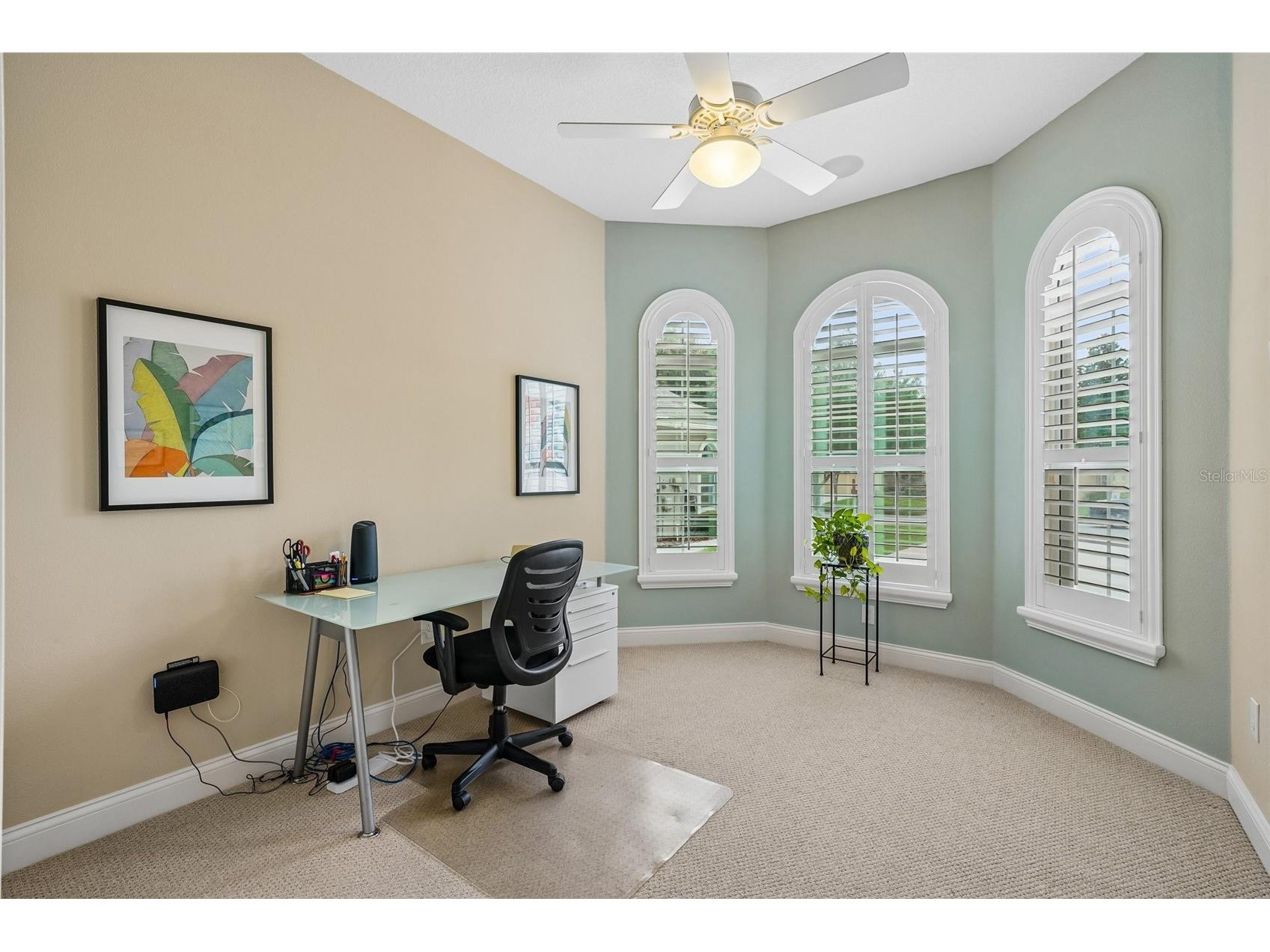 2919 Devonoak Boulevard Land O Lakes FL 34638 TB8512376 image23