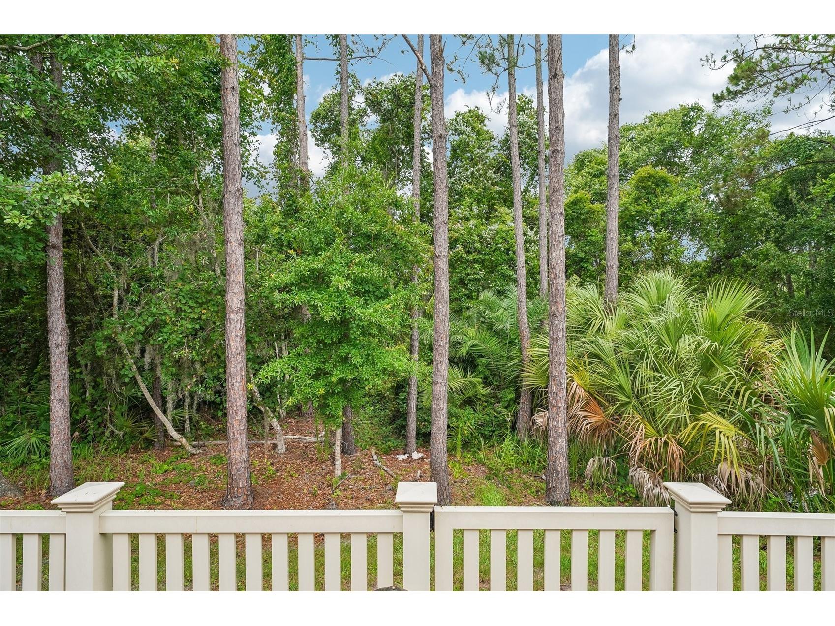2919 Devonoak Boulevard Land O Lakes FL 34638 TB8512376 image30