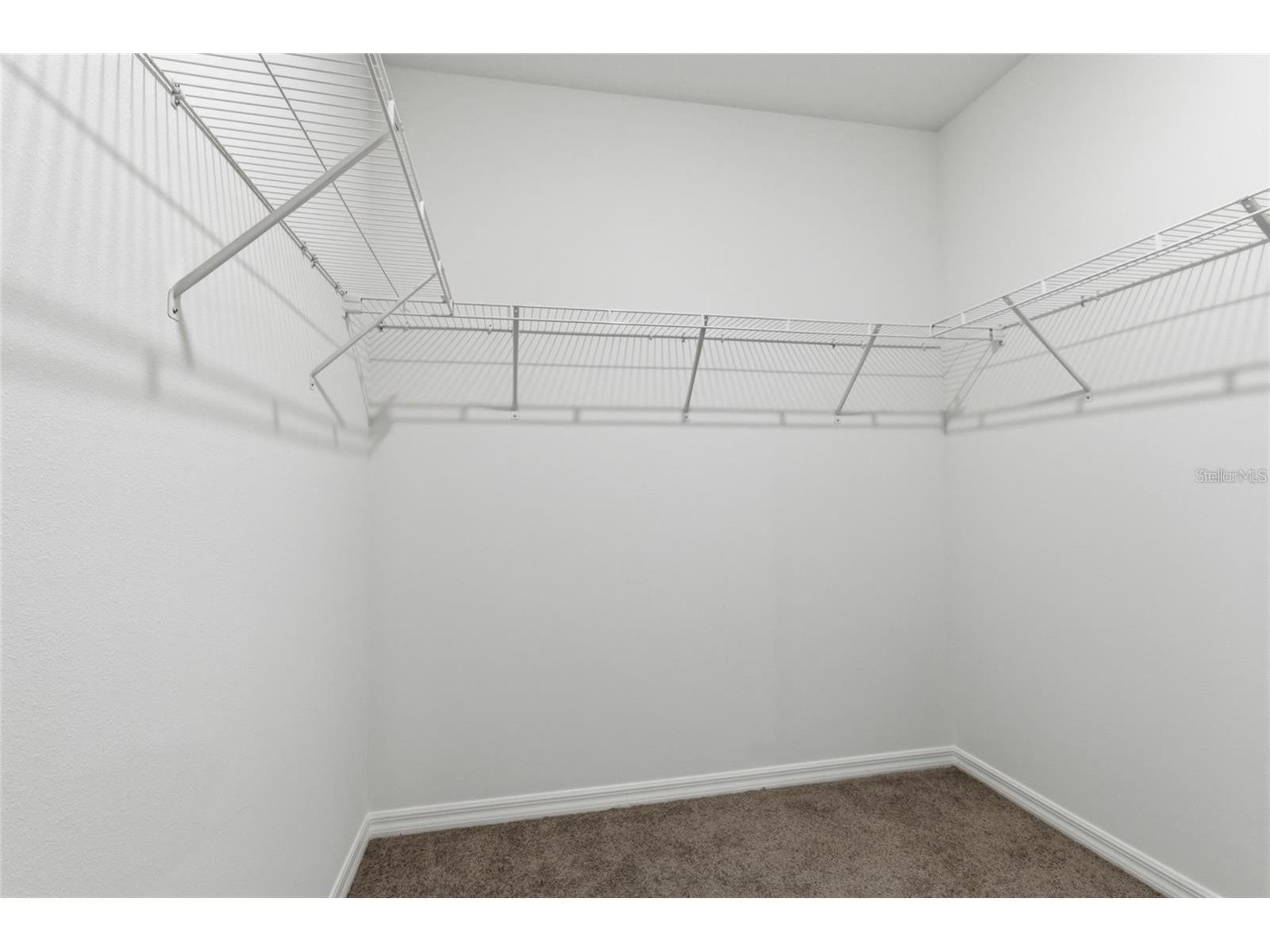 2919 Gardiner Lane Zephyrhills FL 33541 TB8515146 image12