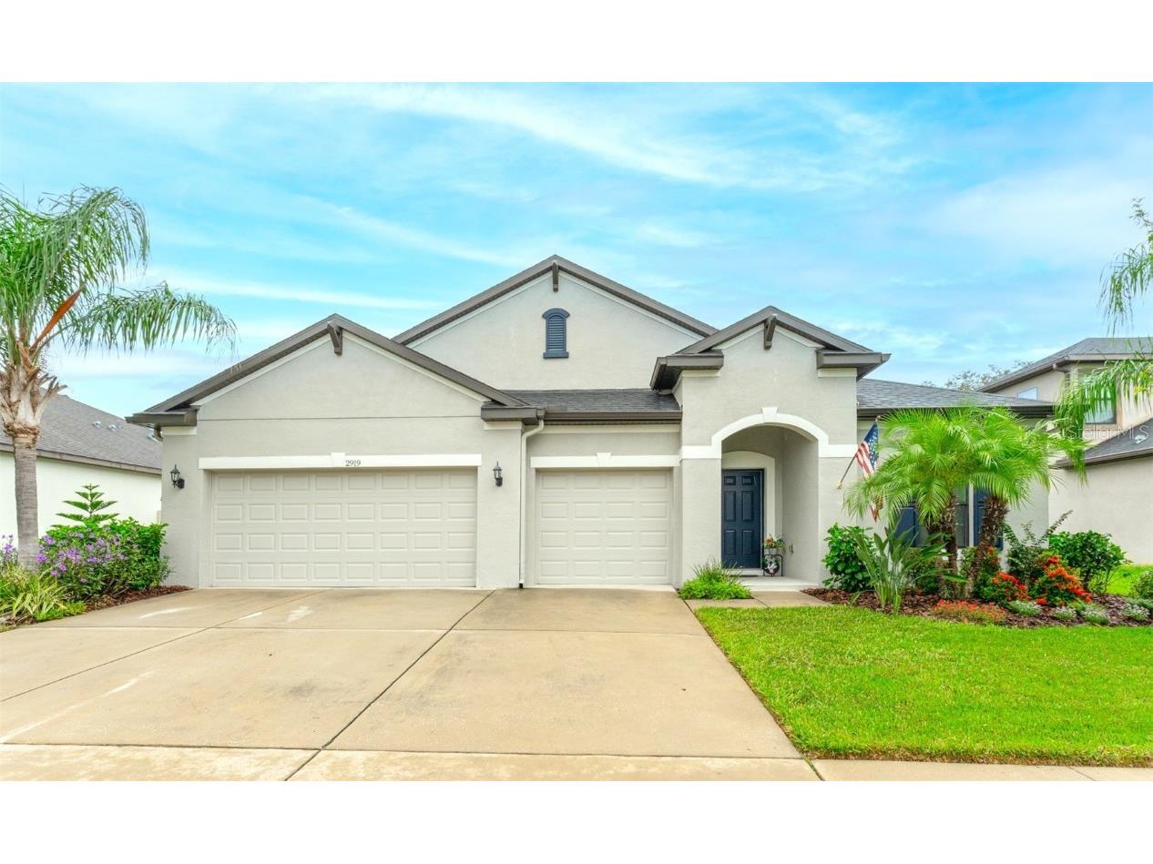 2919 Shetland Ridge Drive Valrico FL 33596 T3540877 image1