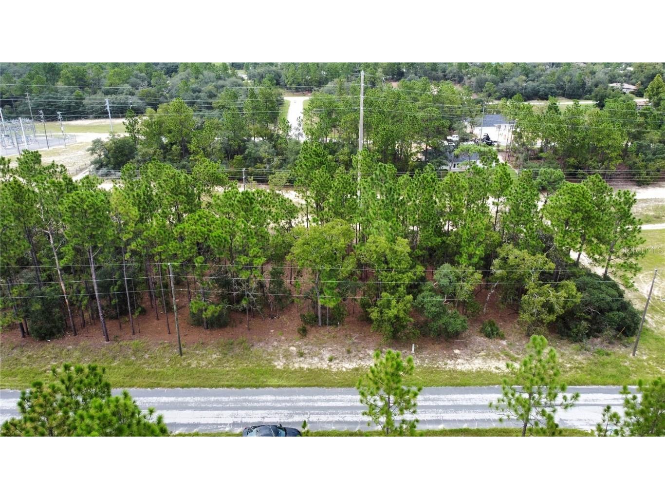 2919 W Sharpes Drive Citrus Springs FL 34433 OM683594 image1