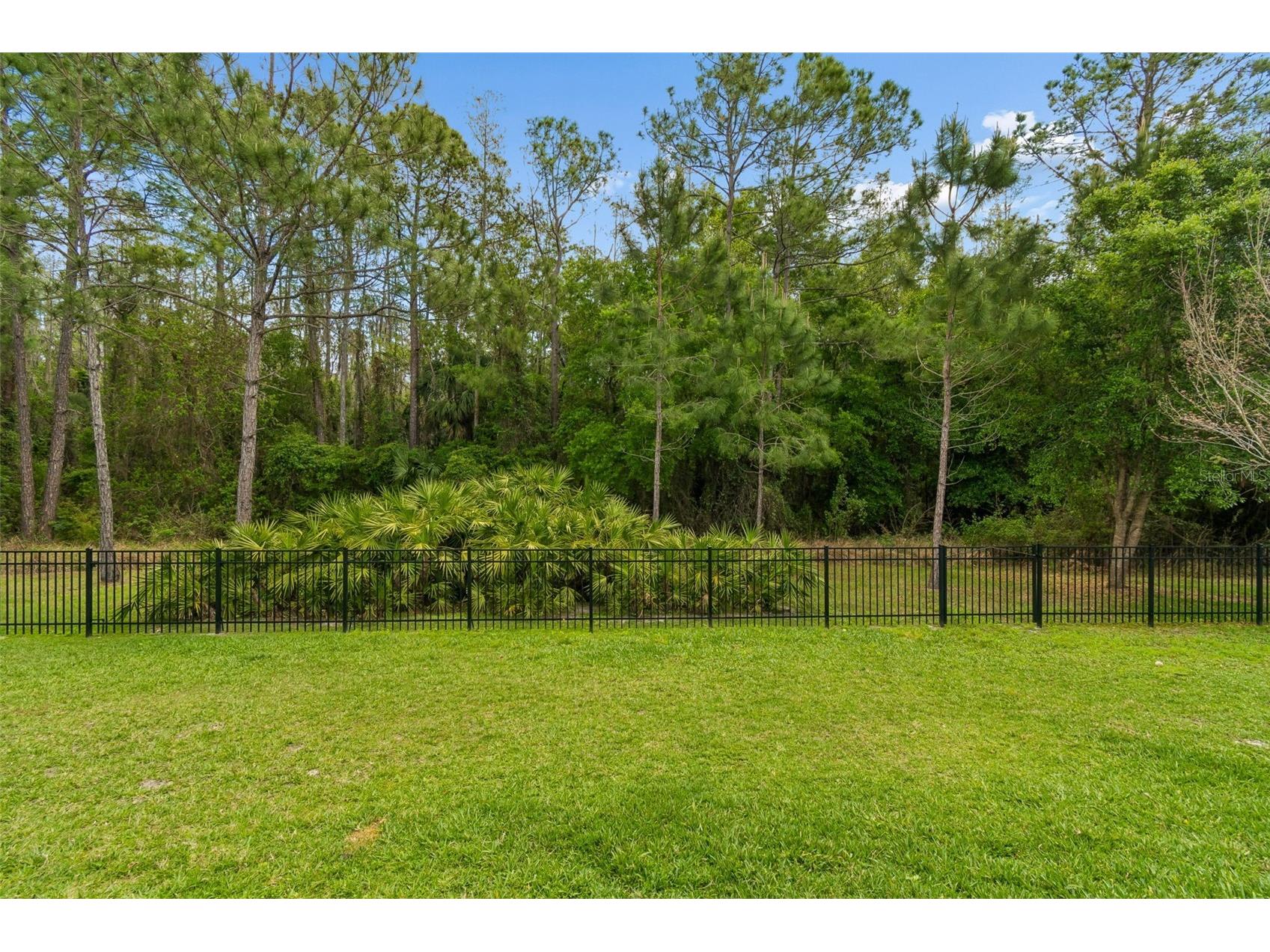 29190 Picana Lane Wesley Chapel FL 33543 TB8486164 image29