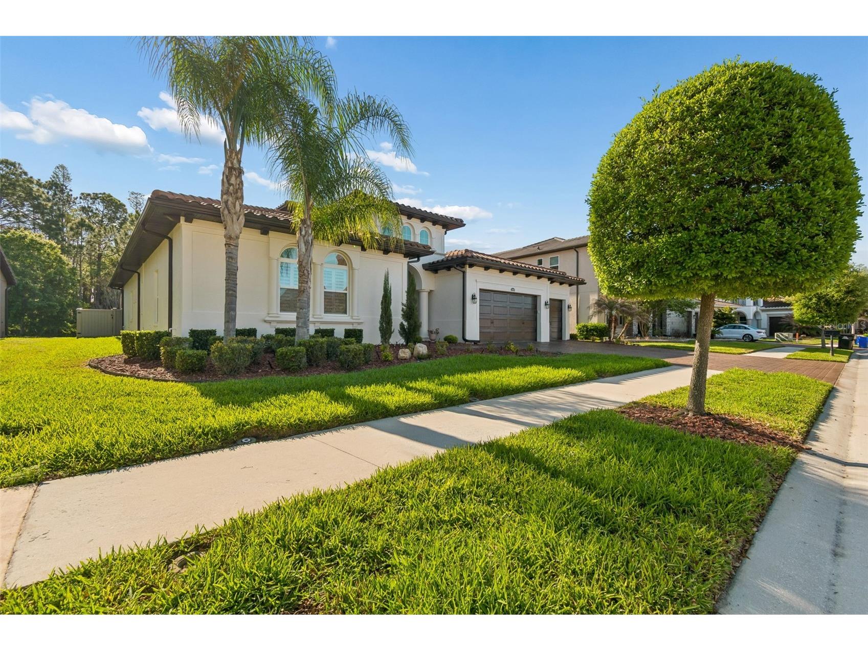 29190 Picana Lane Wesley Chapel FL 33543 TB8486164 image34