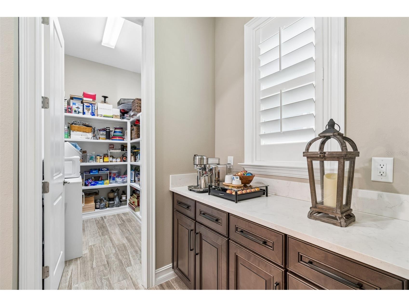 29190 Picana Lane Wesley Chapel FL 33543 TB8486164 image47