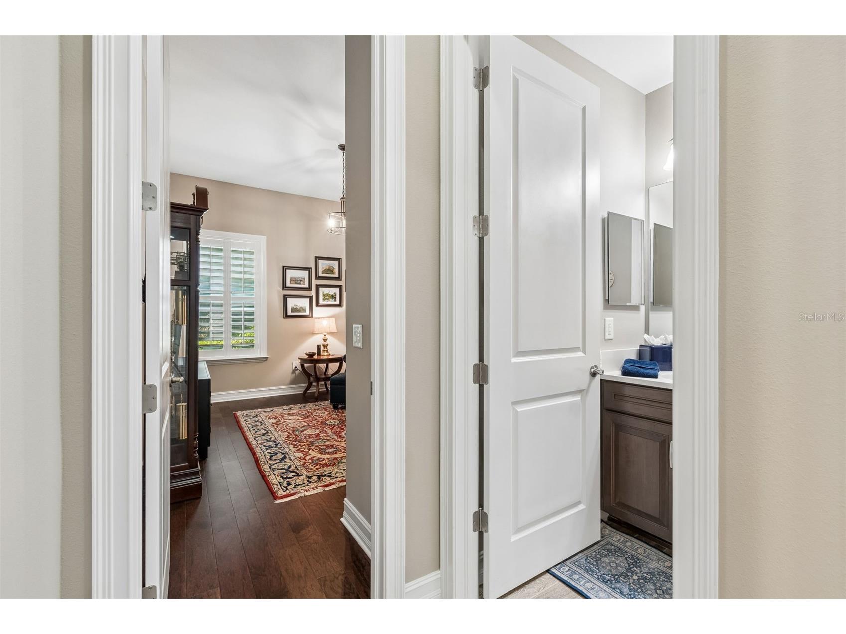 29190 Picana Lane Wesley Chapel FL 33543 TB8486164 image54