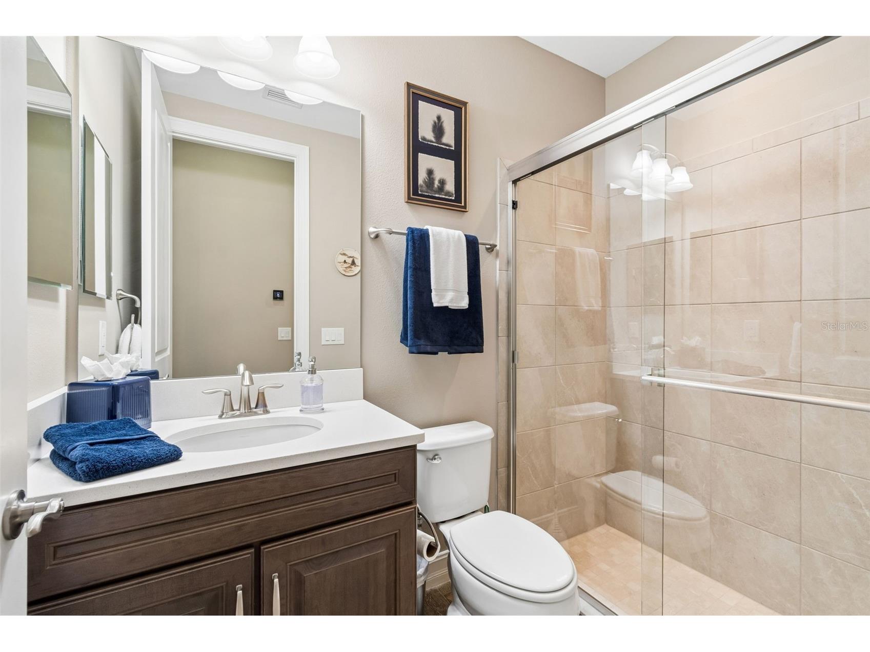 29190 Picana Lane Wesley Chapel FL 33543 TB8486164 image55