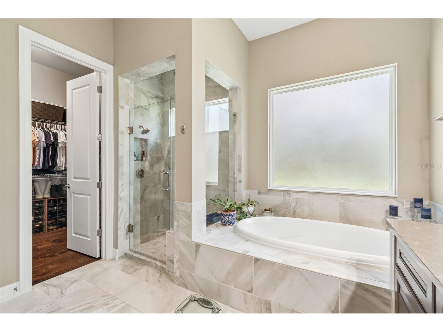 29190 Picana Lane Wesley Chapel FL 33543 TB8486164 image59