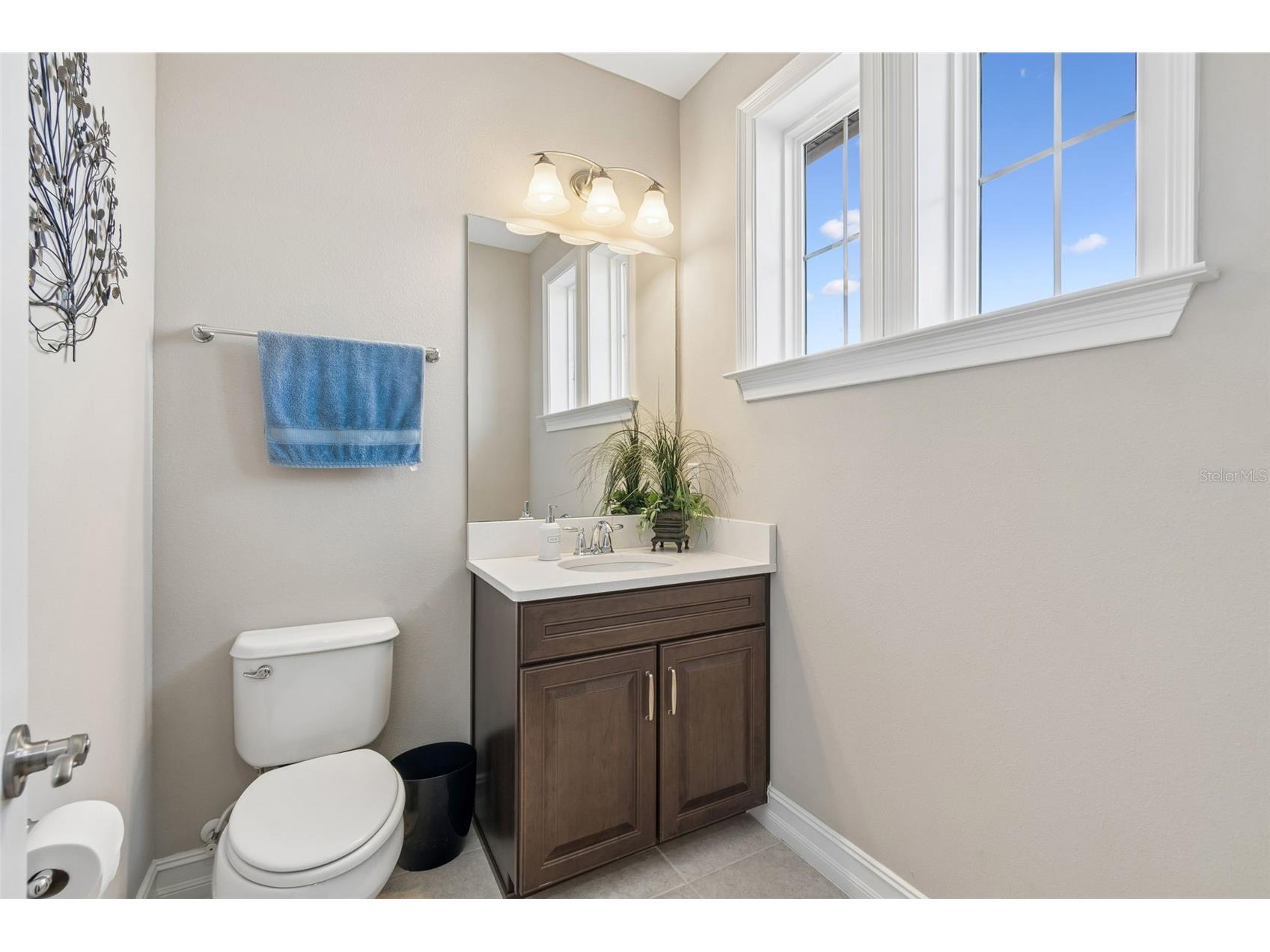 29190 Picana Lane Wesley Chapel FL 33543 TB8486164 image76