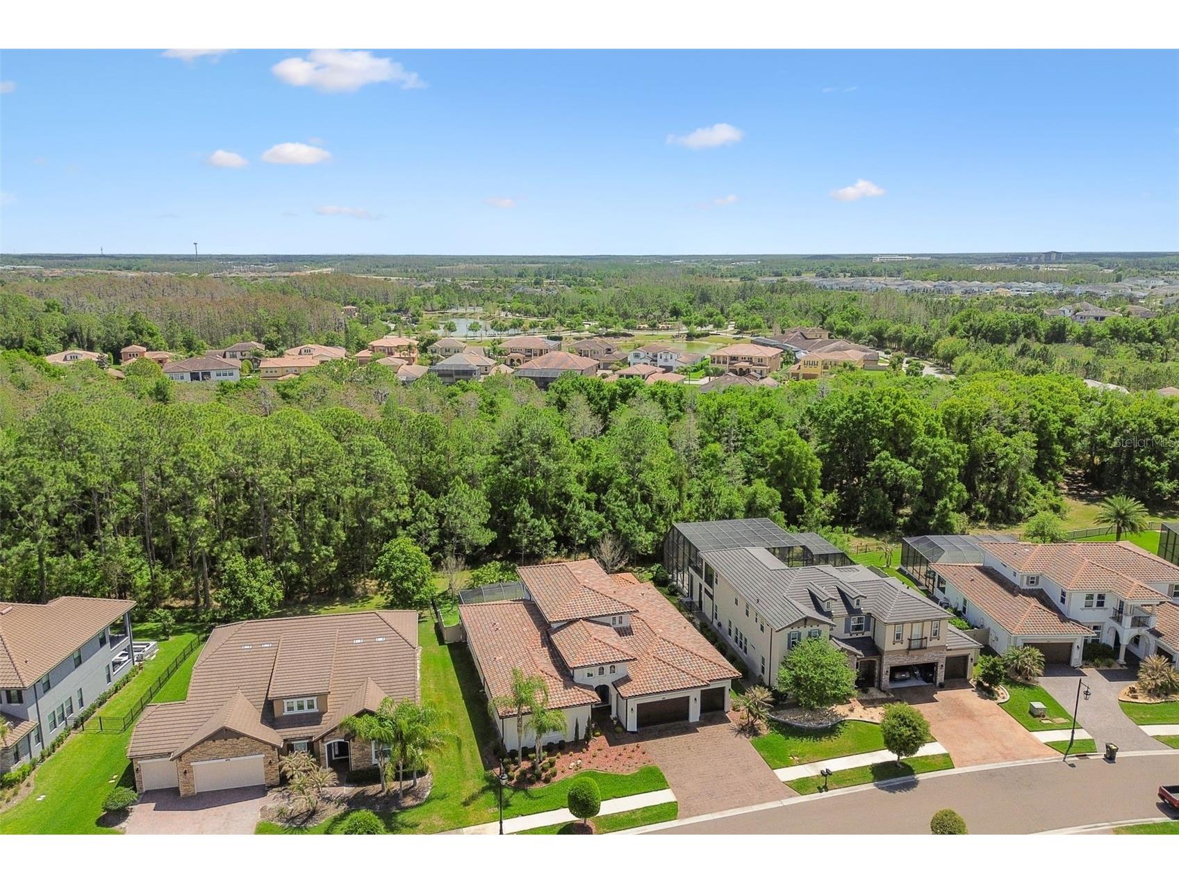 29190 Picana Lane Wesley Chapel FL 33543 TB8486164 image89