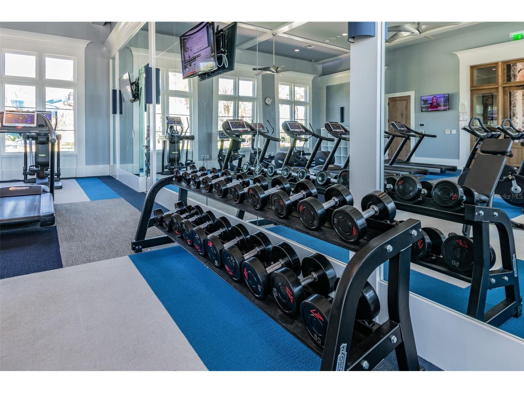 29190 Picana Lane Wesley Chapel FL 33543 TB8486164 image97