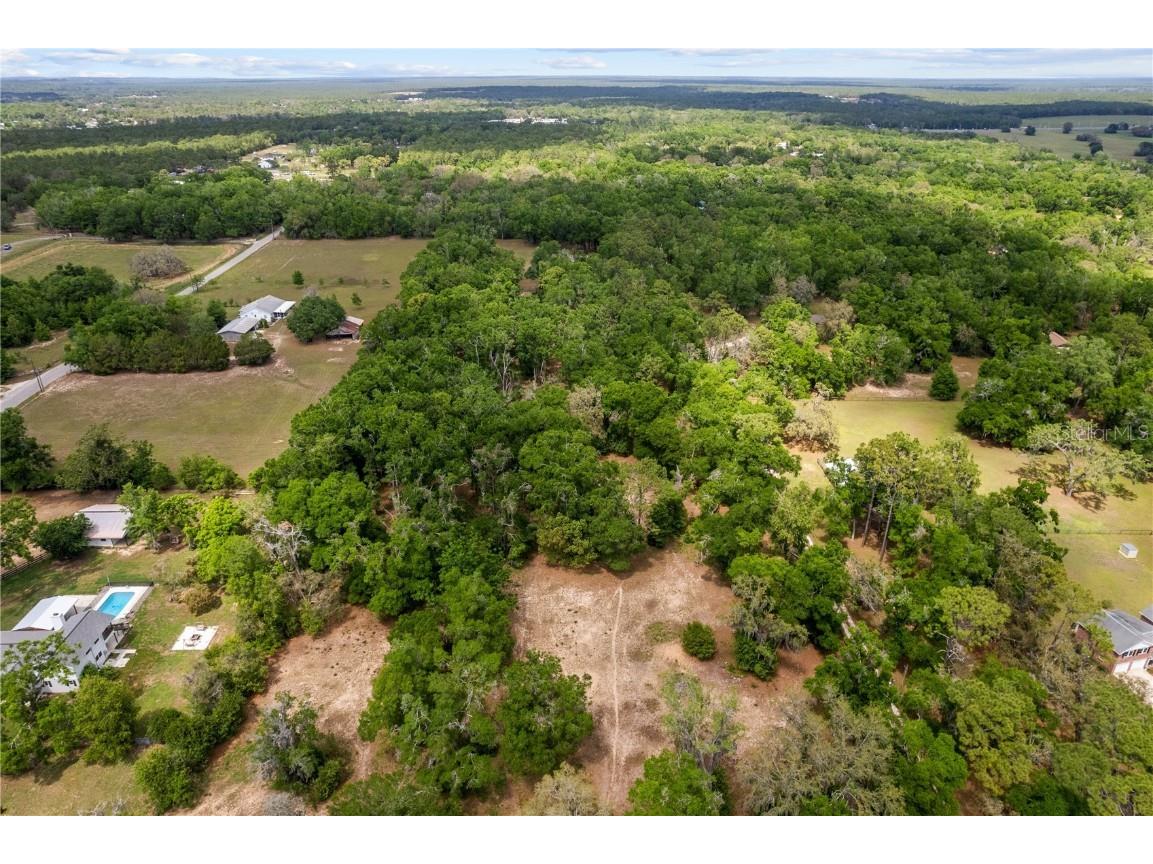 29193 Old Trilby Road Brooksville FL 34602 TB8380905 image1