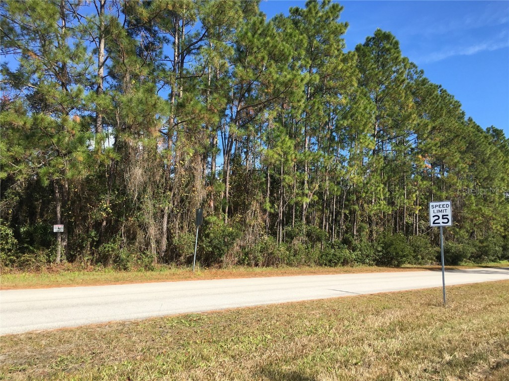 292 + 288 SE Eagle Creek Road Palatka FL 32177 P4918416 image1