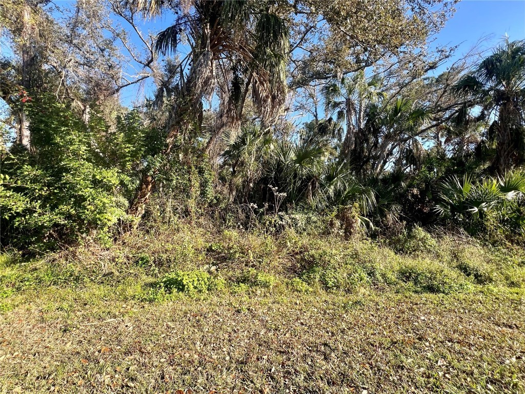 292 Hoffer Street Port Charlotte FL 33953 C7506363 image1