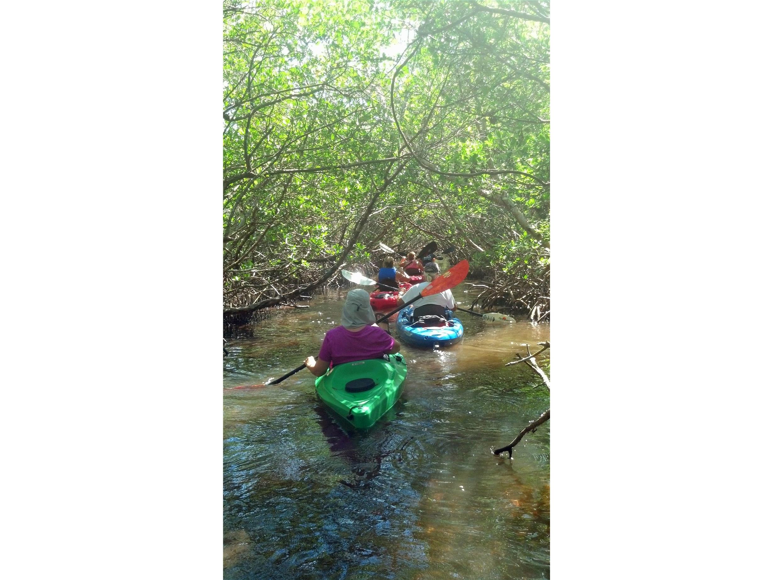 292 W Pine Valley Lane Rotonda West FL 33947 D6142233 image82