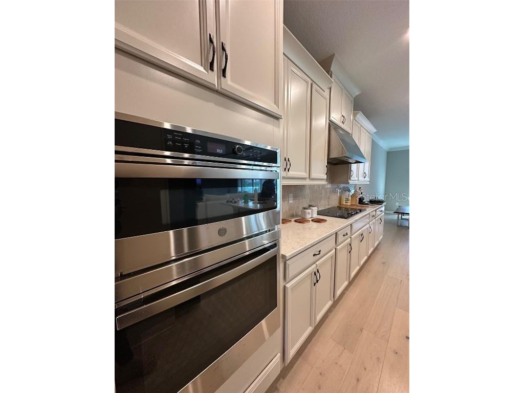 2920 Agostino Terrace Kissimmee FL 34746 S5126243 image19