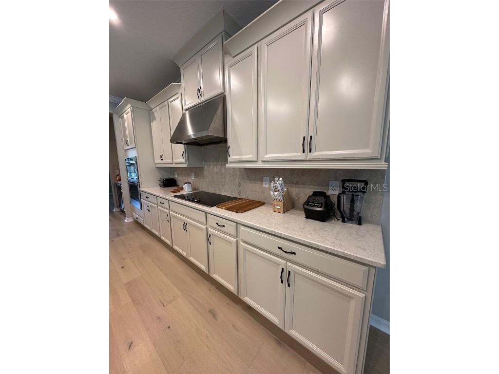 2920 Agostino Terrace Kissimmee FL 34746 S5126243 image20