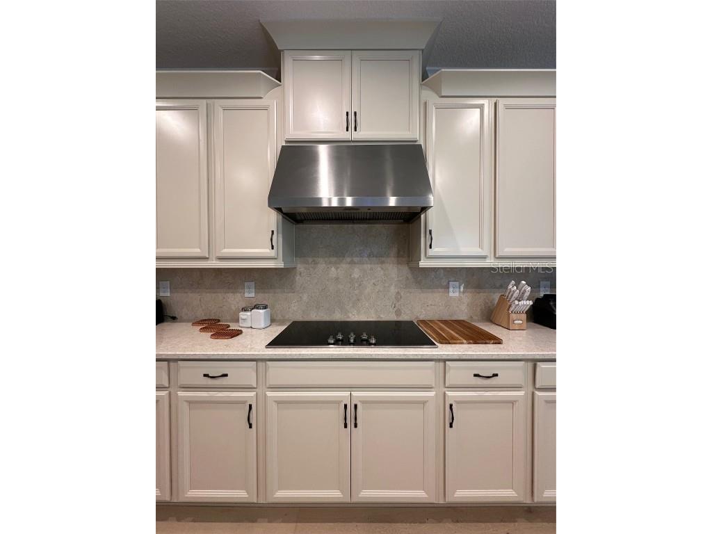 2920 Agostino Terrace Kissimmee FL 34746 S5126243 image24