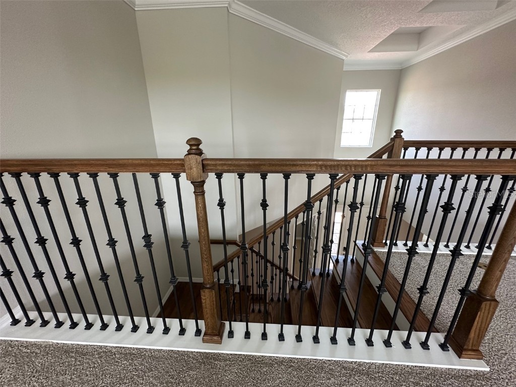 2920 Agostino Terrace Kissimmee FL 34746 S5126243 image41