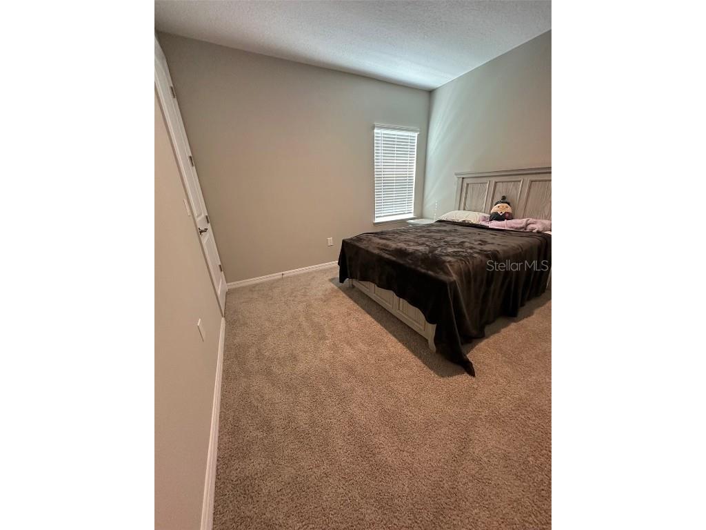 2920 Agostino Terrace Kissimmee FL 34746 S5126243 image49